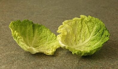 Treatment of varicose veins with cabbage sheets