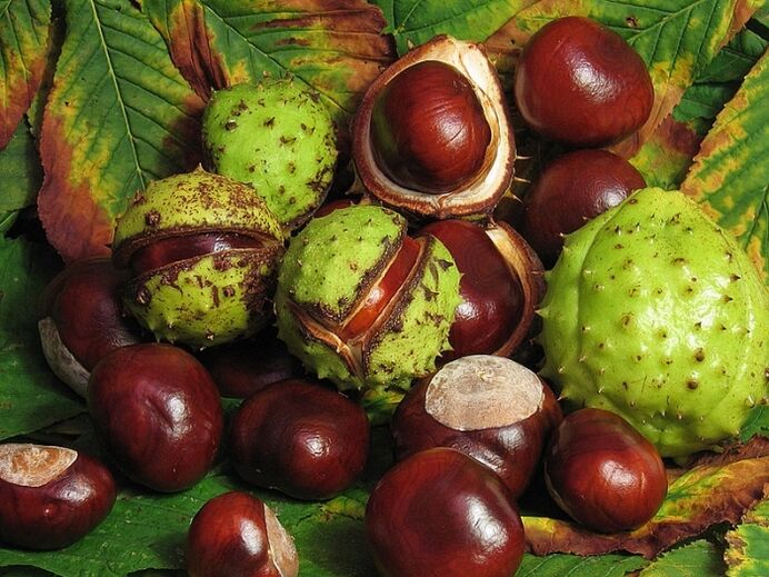 Horse chestnut to prepare VRV infusion