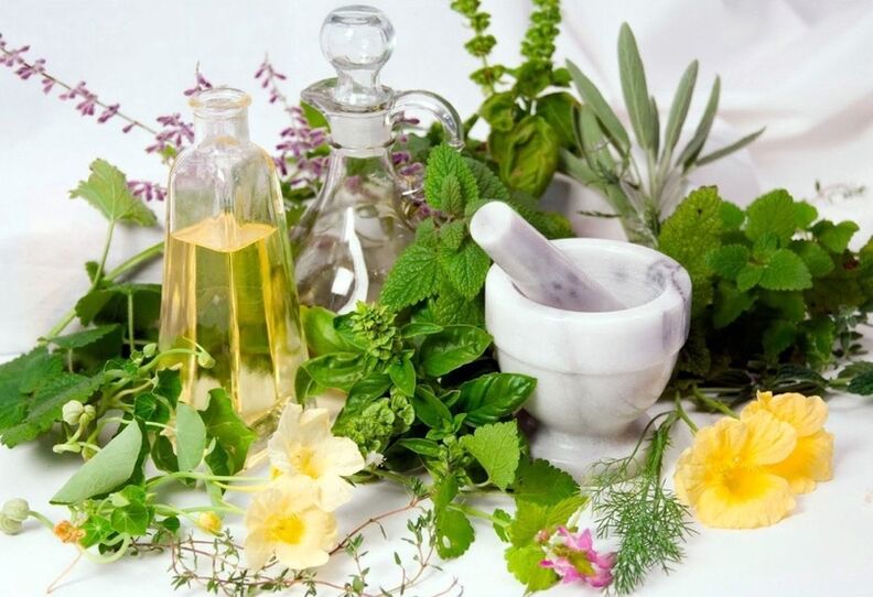 A variety of medicinal herbs for compresses for varicose veins. 